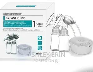 Intelligent Microcomputer Double Electric Pump
