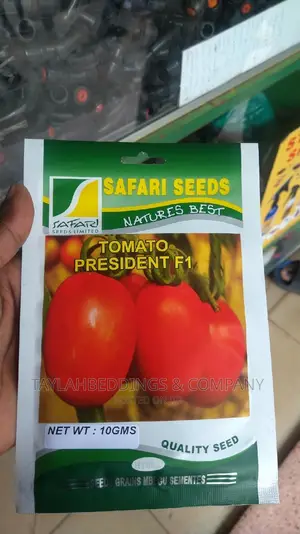 Tomato President F1 Hybrid Quality Seed (Safari Seed)