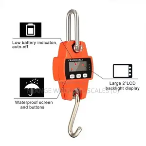 300kg Calibrated Precision Hanging Weighing Scale [10]