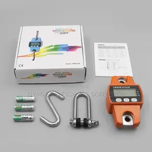 300kg Weigh Accurate Weigh Scale Precision Hanging Weighing Scale [39]