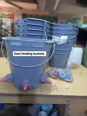 Goat Feeding Buckets