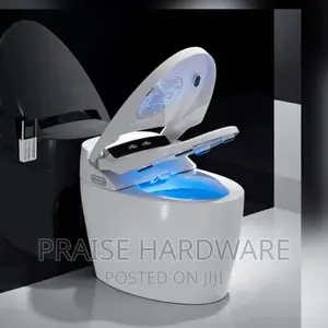 Automatic Toilet