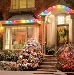 Home Outdoor Decoration Bulb Lights String Lights 10m RGB