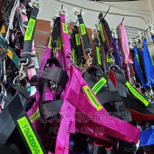 Dog Collar and Harness