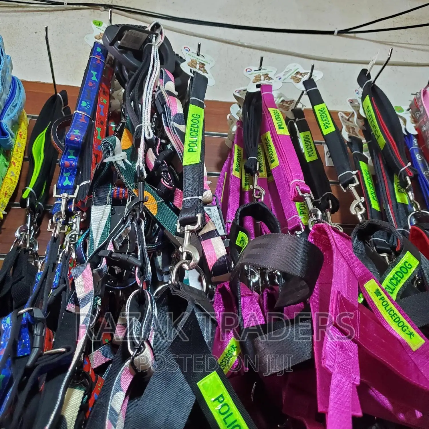 Dog Collar and Harness