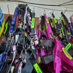Dog Collar and Harness
