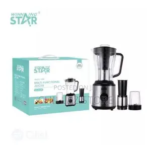 Winning Star 3 in 1 Multifunctional Fruits Electric Blender