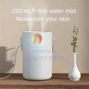 Brand Mini Humidifier