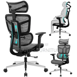 Three Stape Orgonomic Chair