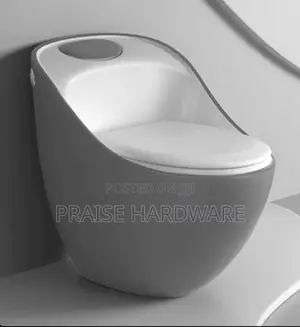 Exotic Toilet
