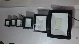 100w Flood Light