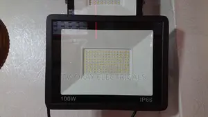 100w Flood Light