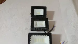 100w Flood Light