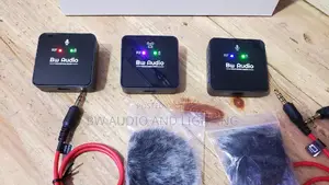 Phone /Camera Microphone