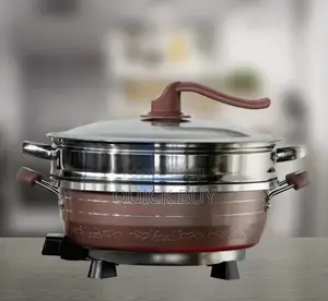 Hoffman's Multifunctional Electric Hot Pot