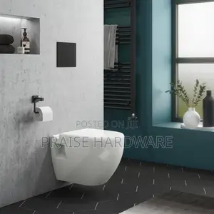 Wall Hug Toilet