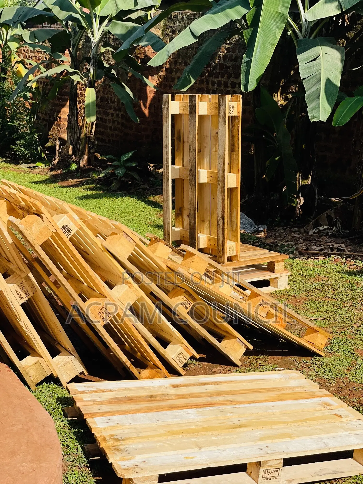 Pine Wooden Pallets