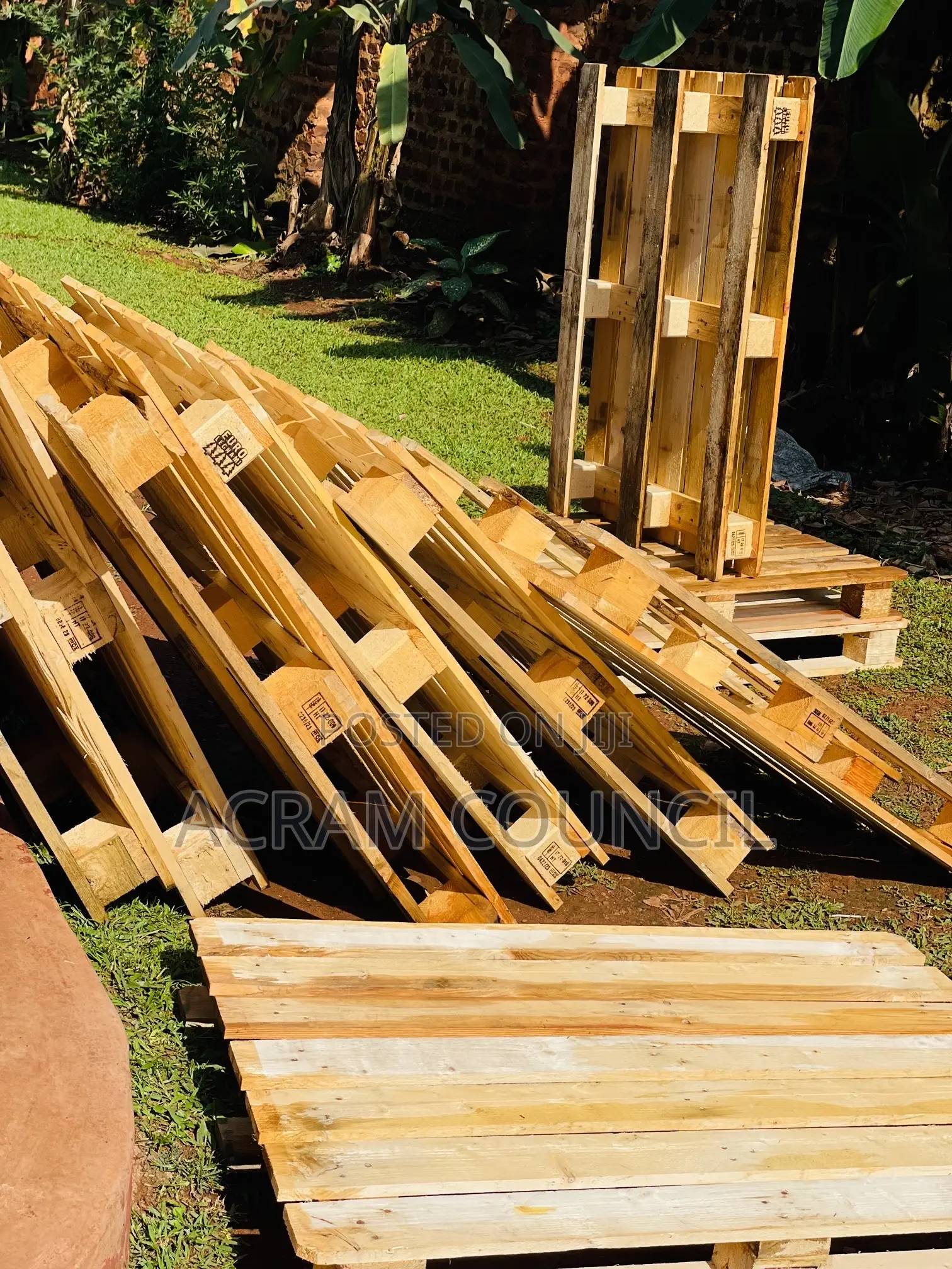 Pine Wooden Pallets