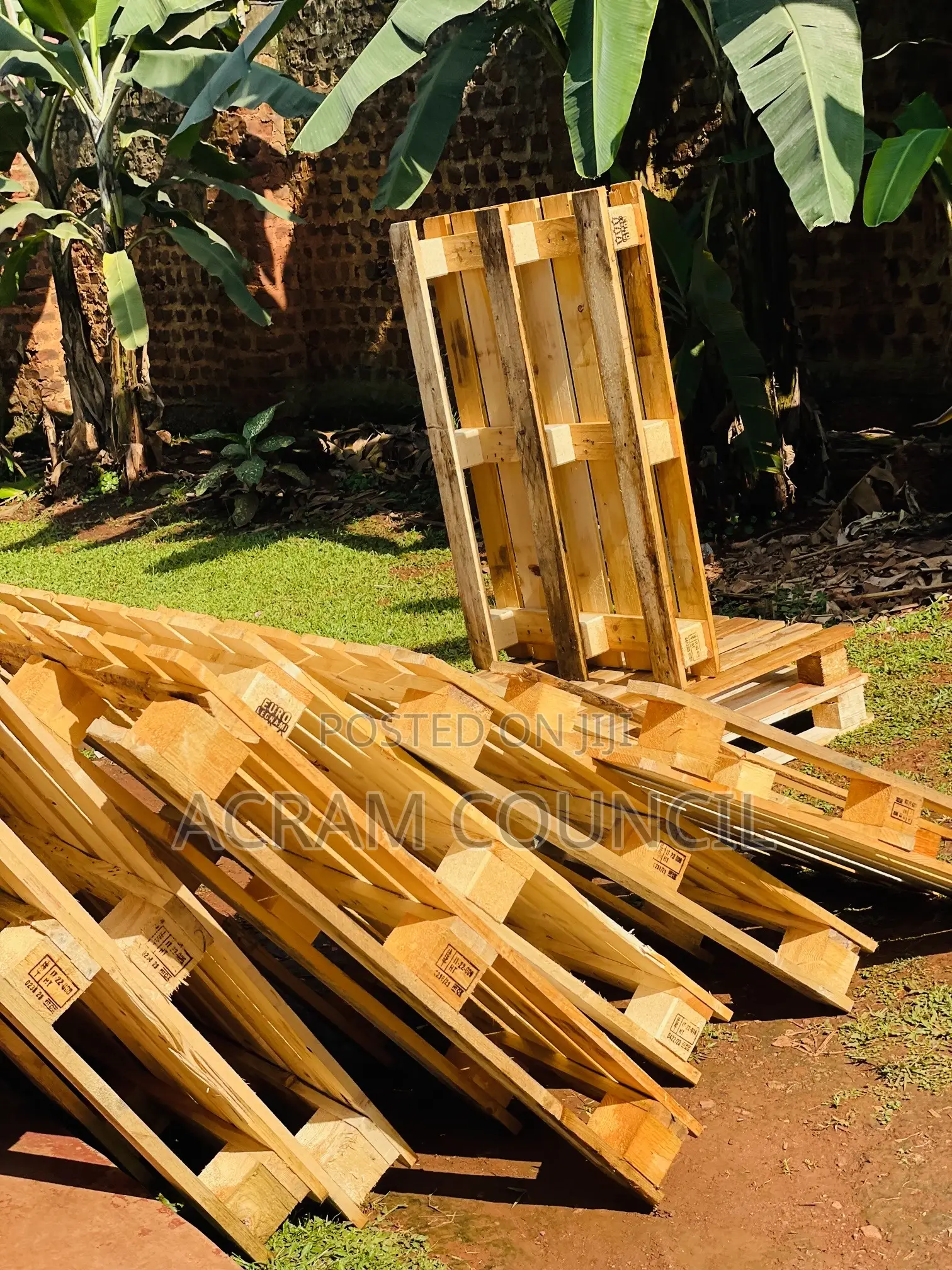 Pine Wooden Pallets