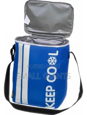 Insulated Picnic Basket Bag