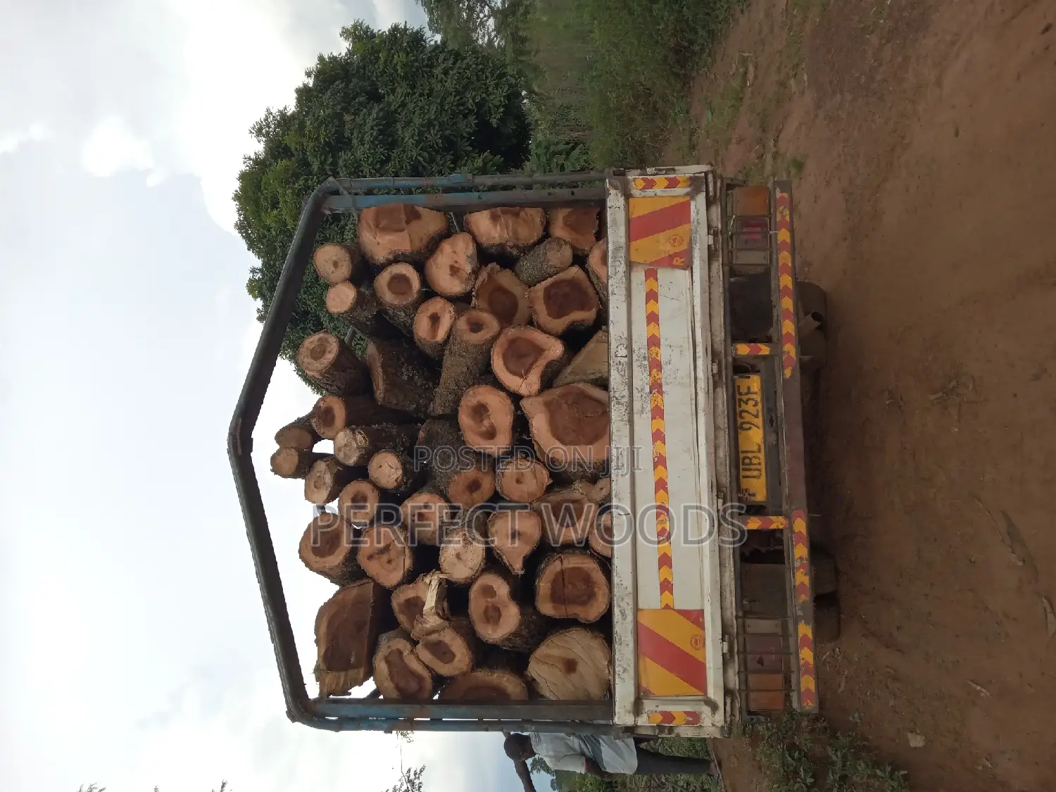A Carnter of Firewood for Sell