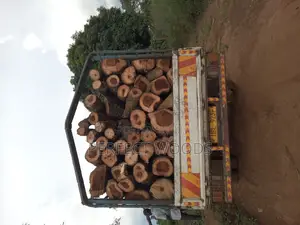 A Carnter of Firewood for Sell
