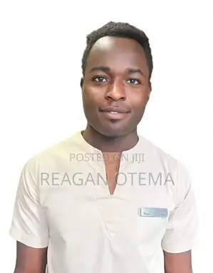 Software Engineer