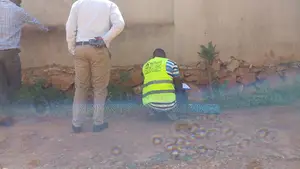 Hydrogeological Survey for Borehole Drilling
