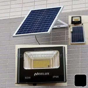 60w Solar Flood Light / 60w Platinum Solar Flood Light