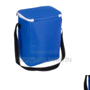 Insulated Picnic Cooler Bag.