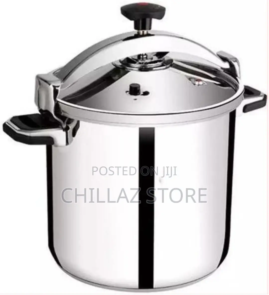 Regina 30L Pressure Cooker Saucepan Cookware Pot – Silver.