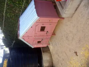 BCFCX Dog House