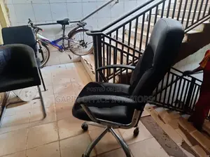 Long Back Office Chair