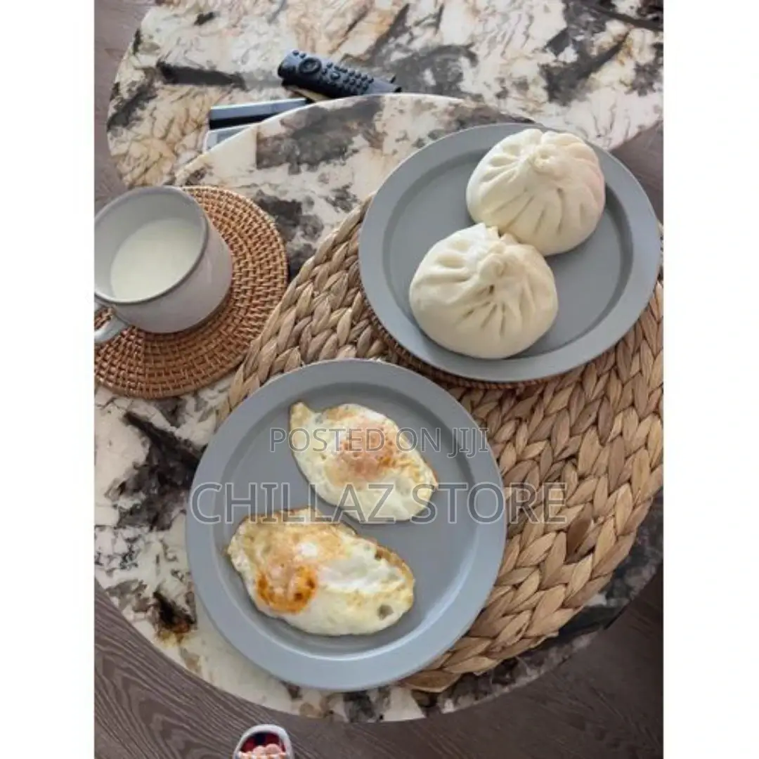 6 Pieces OF Oval Woven Placemats