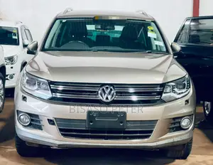 Volkswagen Tiguan 2014 Gold