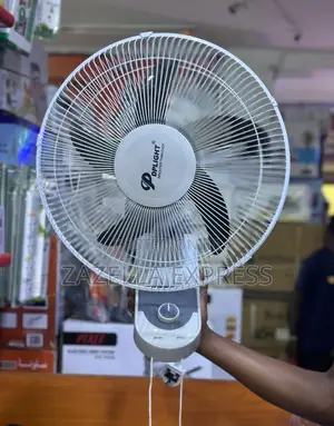 Dp Light Wall Fan