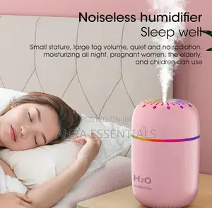 Portable Air Humidifier 300ml