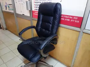 Long Back Adjustable Chair