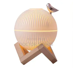 Portable Mini Air Humidifier ( 300ml )