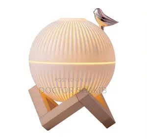 Portable Mini Air Humidifier ( 300ml )