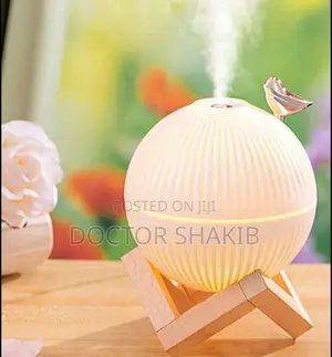 Portable Mini Air Humidifier ( 300ml )