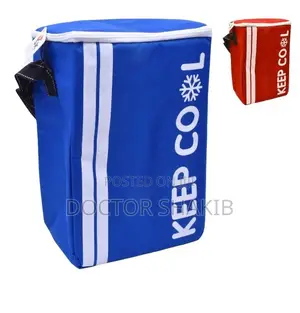 Insulated Portable Picnic Basket Bag