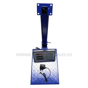 Hot Sale Electronic Platform Weighing Scale [3]
