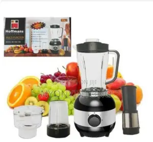 Hoffman 4 in 1 Blender, Meat Mincer,Grinder and Filter
