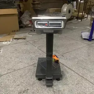 Industrial Strong Low Profile Platform Scales [75]