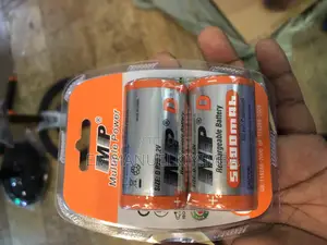 Rechargeable Size D Batteries
