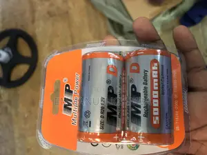 Rechargeable Size D Batteries