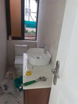 Professional City Plumber
