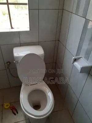 Professional City Plumber