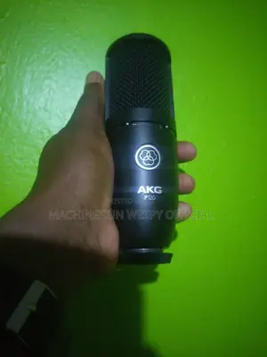 Akg P120 Studio Microphone